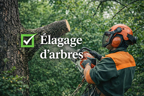 Élagage d&rsquo;arbres